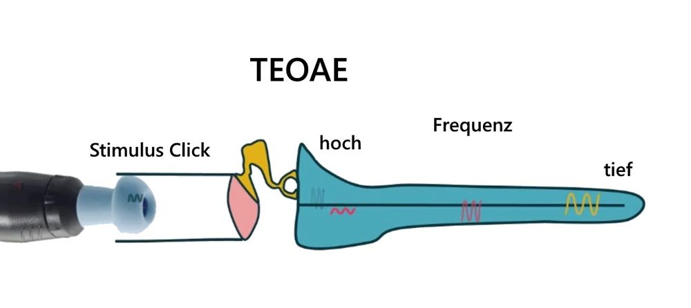 teoae_messprinzip_flach.jpg